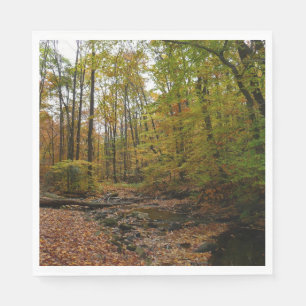Guardanapo De Papel Fall Creek em Laurel Hill State Park na Pensilvâni