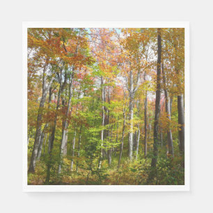 Guardanapo De Papel Fall Forest I Autumn Landscape Photoshop