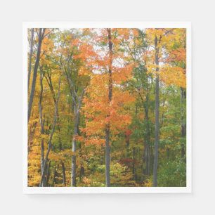 Guardanapo De Papel Fall Maple Trees Autumn Nature Fotografia
