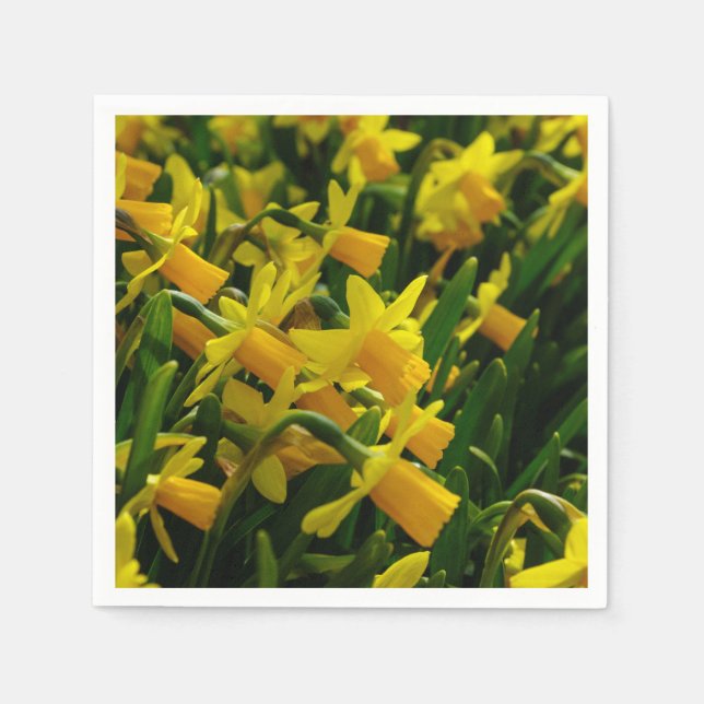 Guardanapo De Papel Família de Narcisos (Frente)