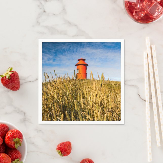 Guardanapo De Papel Farol em Stykholmur, Islândia (Insitu)