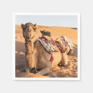 Guardanapo De Papel Fechamento de Camel no deserto de Oman
