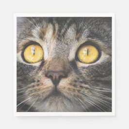 Guardanapo De Papel Fechamento de Gato com Olhos Amarelos
