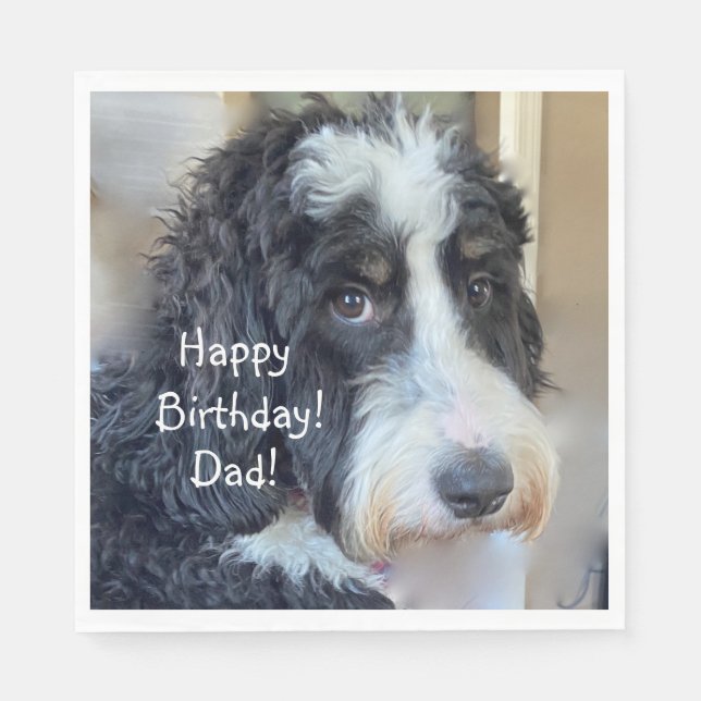Guardanapo De Papel Feliz Aniversário Adorável Bernedoodle (Frente)