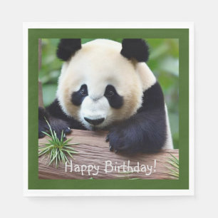 Guardanapo De Papel Feliz Aniversário, Barramento de Panda Bonito