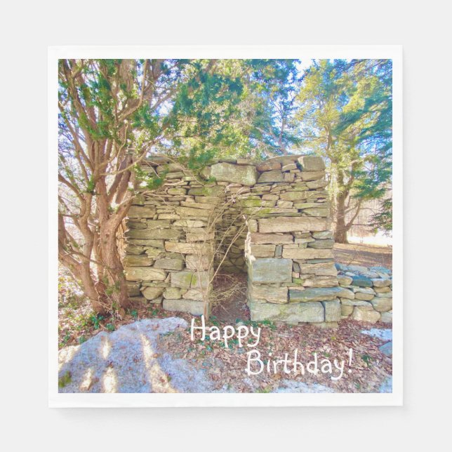 Guardanapo De Papel Feliz aniversário da História Buff (Frente)