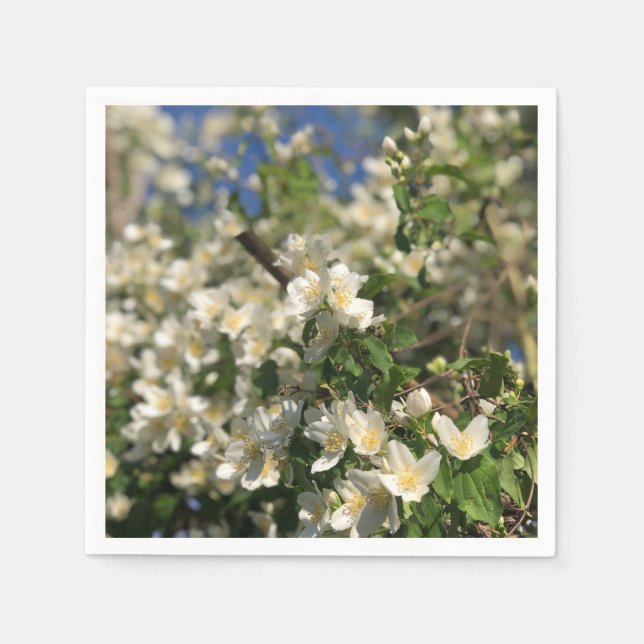 Guardanapo De Papel Feminina Floral (Frente)