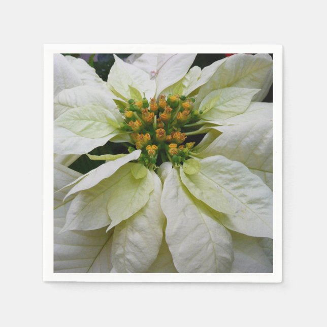 Guardanapo De Papel Feriado de Natal Elegante de Poinsettia Branca (Frente)