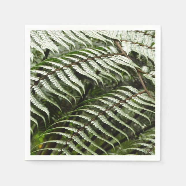Guardanapo De Papel Fern Fronds II Dark Green Nature (Frente)