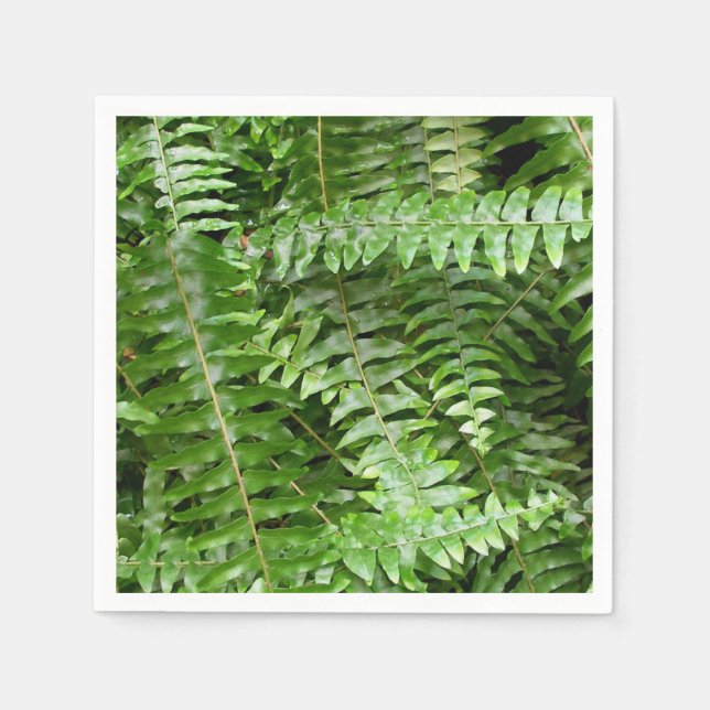 Guardanapo De Papel Fern Frontes I Green Nature (Frente)