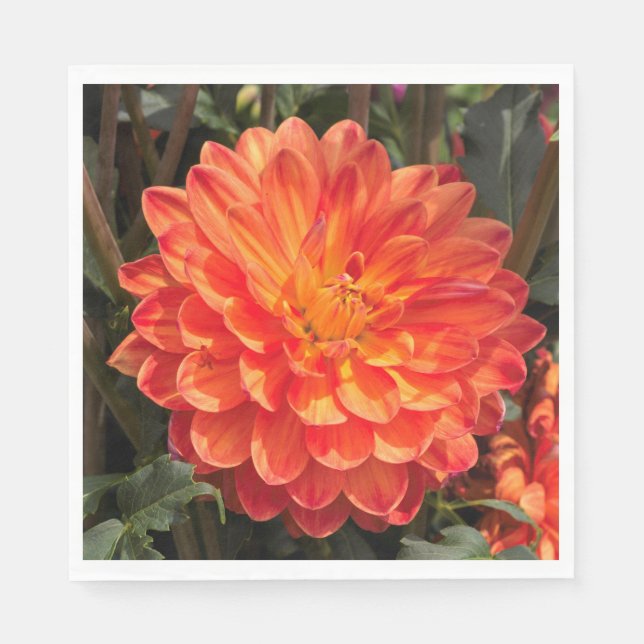 Guardanapo De Papel Fiery Dahlia (Frente)