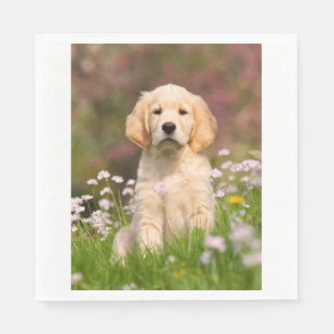 Guardanapo De Papel Filhote de cachorro do golden retriever um Goldie