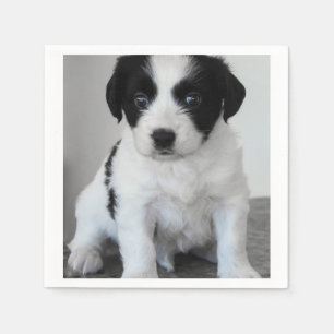 Guardanapo De Papel Filhote de cachorro preto e branco adorável