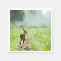 Filhote de veado bonitinho descoberto em fotografi