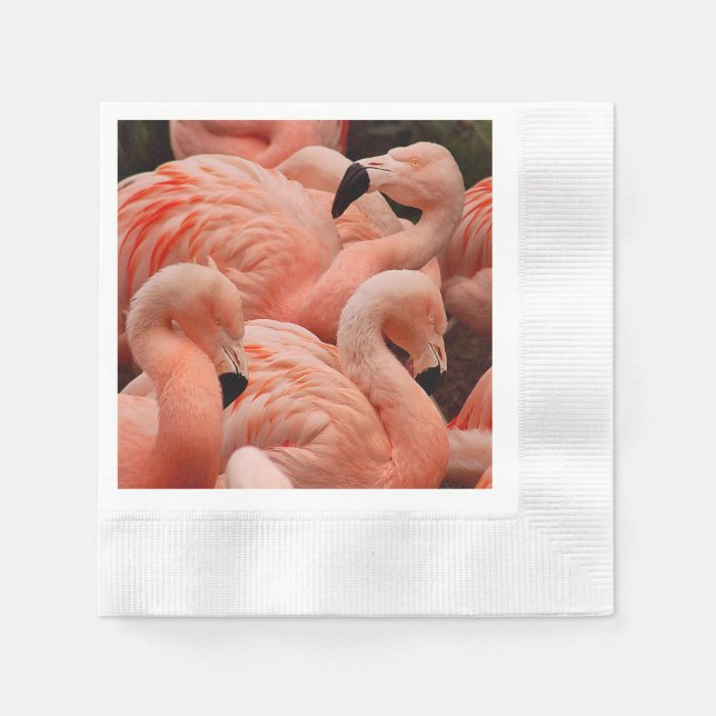 Guardanapo De Papel flamingos cor-de-rosa (Frente)