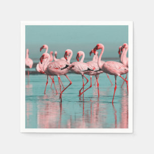Guardanapo De Papel flamingos selvagens africanos