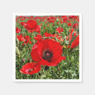 Guardanapo De Papel Flandres Poppy Napkins