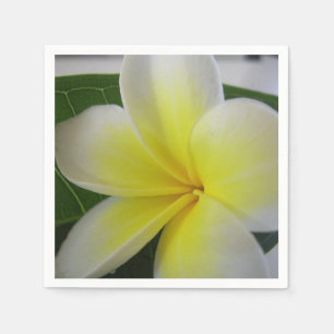 Guardanapo De Papel Flor branca e amarela do Frangipani