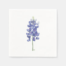 Flor de Campo Azul do Texas