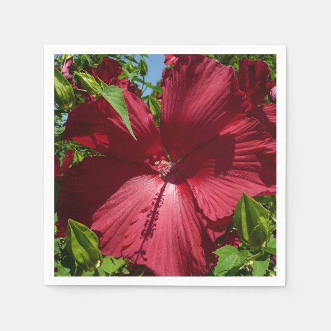 Guardanapo De Papel Flor de Hibiscus e Céu Azul (Frente)