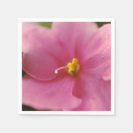 Guardanapo De Papel Flor Pastel Pink African Violet (Saintpaulia)
