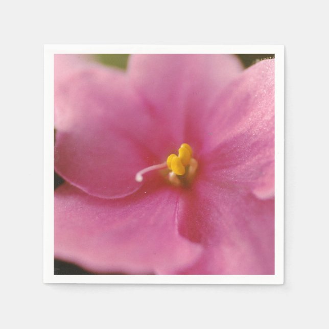 Guardanapo De Papel Flor Pastel Pink African Violet (Saintpaulia) (Frente)