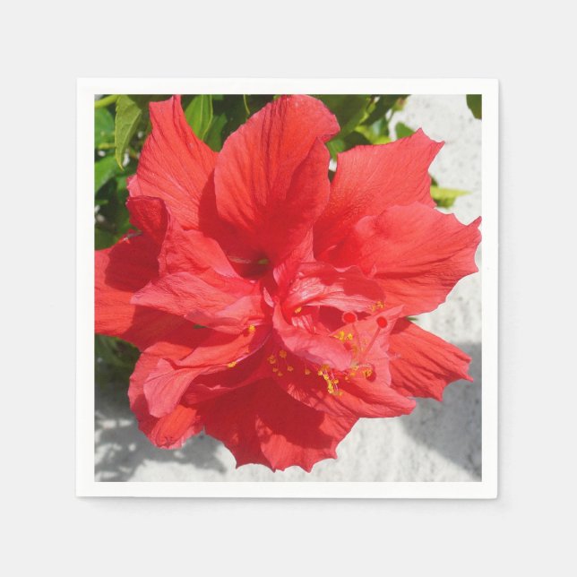 Guardanapo De Papel Flor Red Double Hibiscus (Frente)