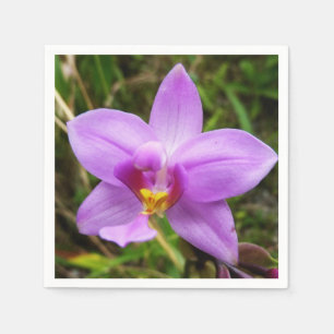 Guardanapo De Papel Flor Tropical Roxo de Orquídea Selvagem