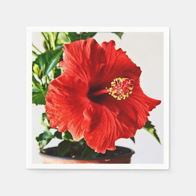 Guardanapo De Papel Flor vermelha do hibiscus (Frente)