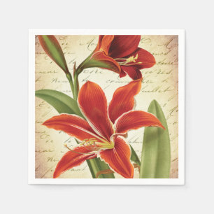 Guardanapo De Papel Flor vermelha do Natal do Amaryllis botânica