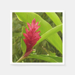 Guardanapo De Papel Flor Vermelho Ginger (Alpinia)