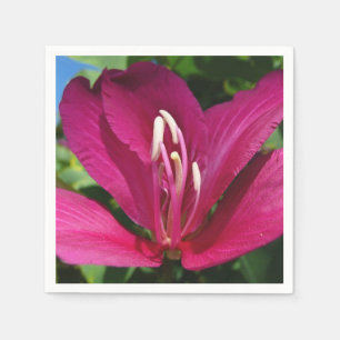 Guardanapo De Papel Floral Tropical do Flor de Árvore Orquídea