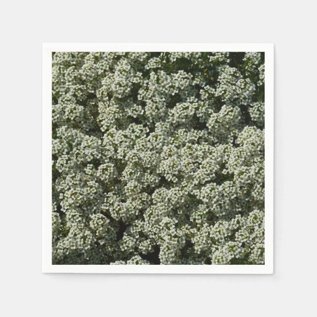 Guardanapo De Papel Flores de Alyssum Doce Floral Branco (Frente)