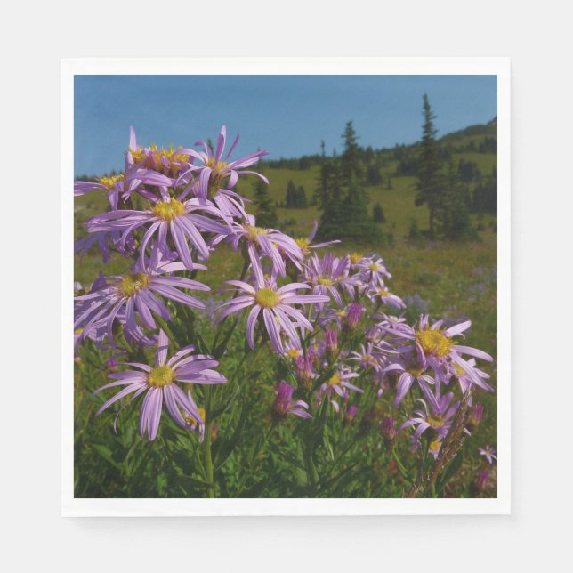Guardanapo De Papel Flores de Aster Roxo no Monte Rainier (Frente)
