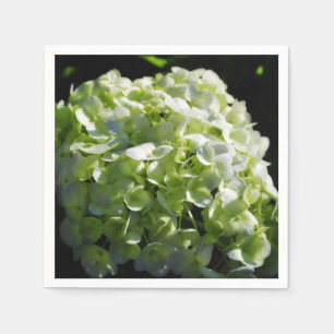 Guardanapo De Papel Flores de Hydrangeas Verdes