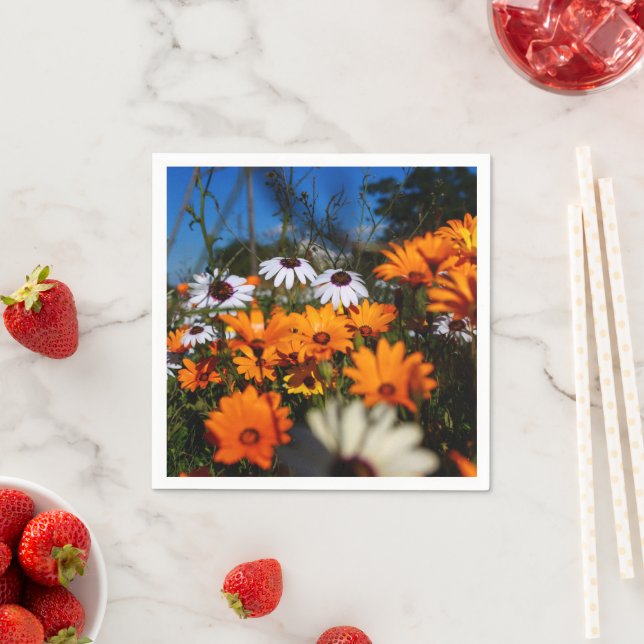 Guardanapo De Papel Flores Namaqualand selvagens (Insitu)