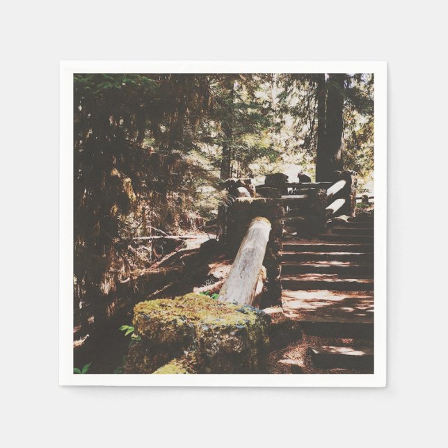 Guardanapo De Papel Floresta Nacional Willamette (Frente)