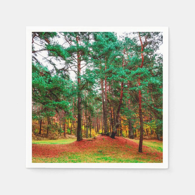 Guardanapo De Papel Florestas mistas do outono (Frente)