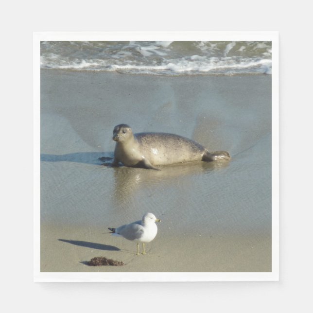 Guardanapo De Papel Foca-comum em La Jolla Califórnia (Frente)
