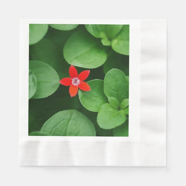 Guardanapo De Papel Folha Verde e Flor Vermelha (Frente)