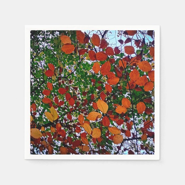 Guardanapo De Papel Folhas amarelas, verdes e castanhas (Frente)