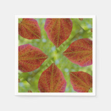 Folhas de Amor da Natureza