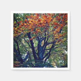 Guardanapo De Papel Folhas de laranja