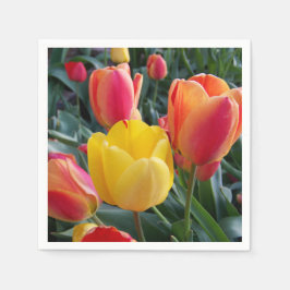 Guardanapo De Papel Foto