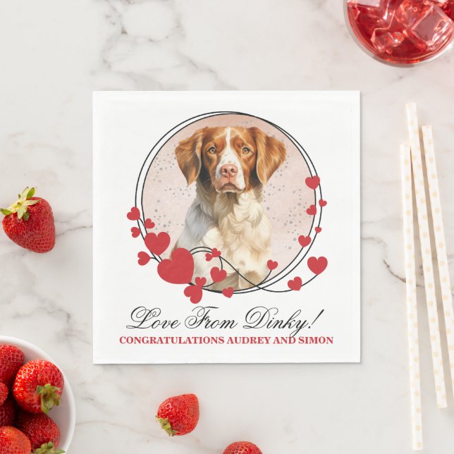 Guardanapo De Papel Foto de Cão Cachorro Vermelho Brittany Spaniel (Insitu)