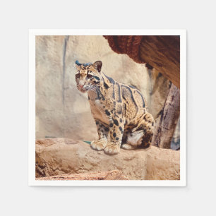 Guardanapo De Papel foto de leopardo nebuloso natureza vida selvagem e