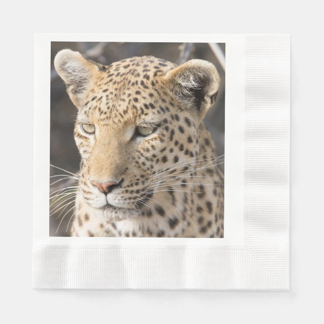 Guardanapo De Papel Foto do retrato do leopardo (Frente)