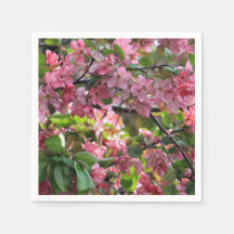 Foto Floral de Crabapple rosa