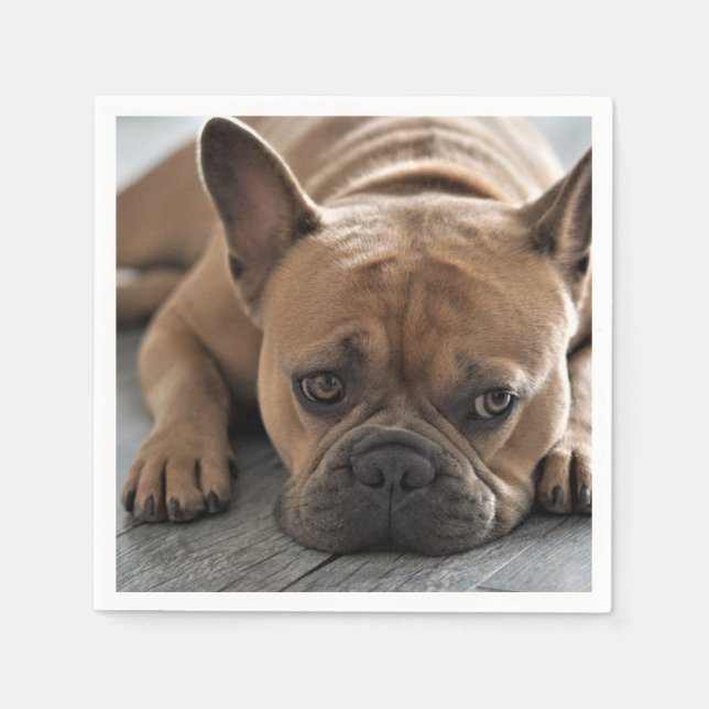Guardanapo De Papel Foto Personalizada de Cachorro (Frente)