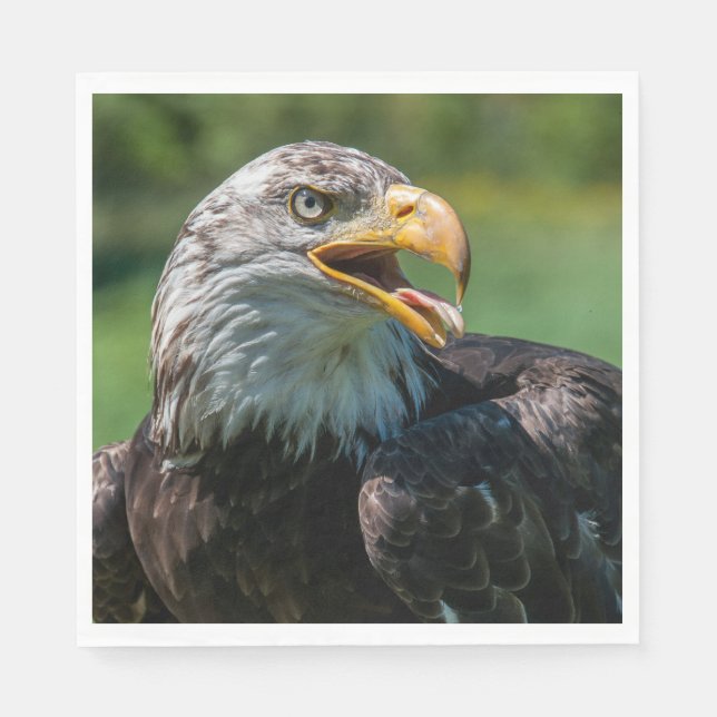 Guardanapo De Papel fotografia de águia (Frente)